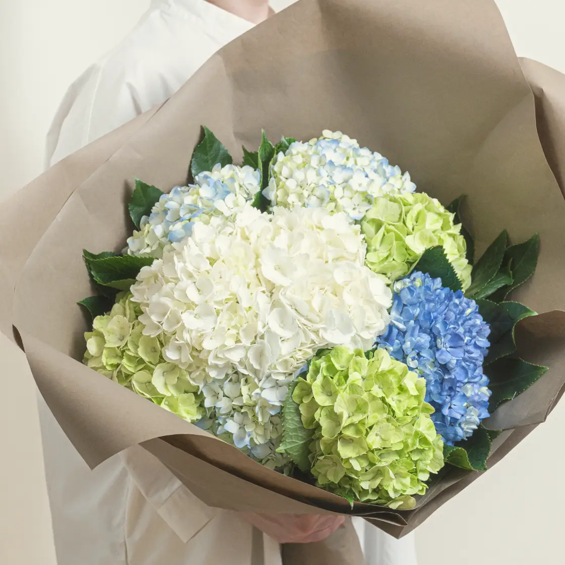 紫陽花の花束 | 花のオンライン注文・配達 | HANATAKU