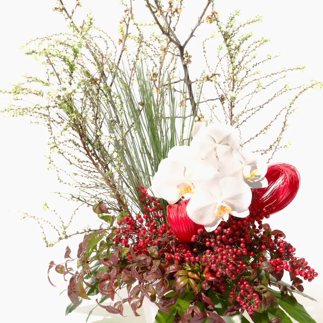 正月花のアレンジメント(デザインおまかせ・トールタイプ) | 花の